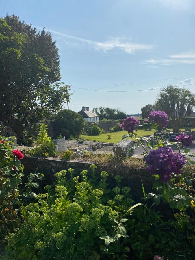 Clonmore Lodge B&B Quilty Εξωτερικό φωτογραφία