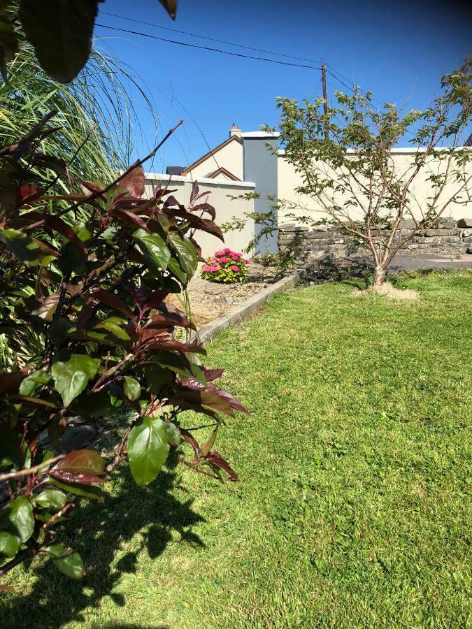 Clonmore Lodge B&B Quilty Εξωτερικό φωτογραφία